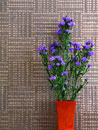 wall